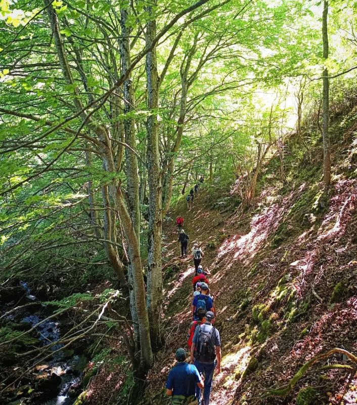 🌱El Gobierno de La Rioja licita el proyecto de infraestructuras selvícolas para la mejora de los MUP del #Oja y #Cárdenas por 751.000 euros.

🔗Noticia completa: actualidad.larioja.org/noticia?n=not-…