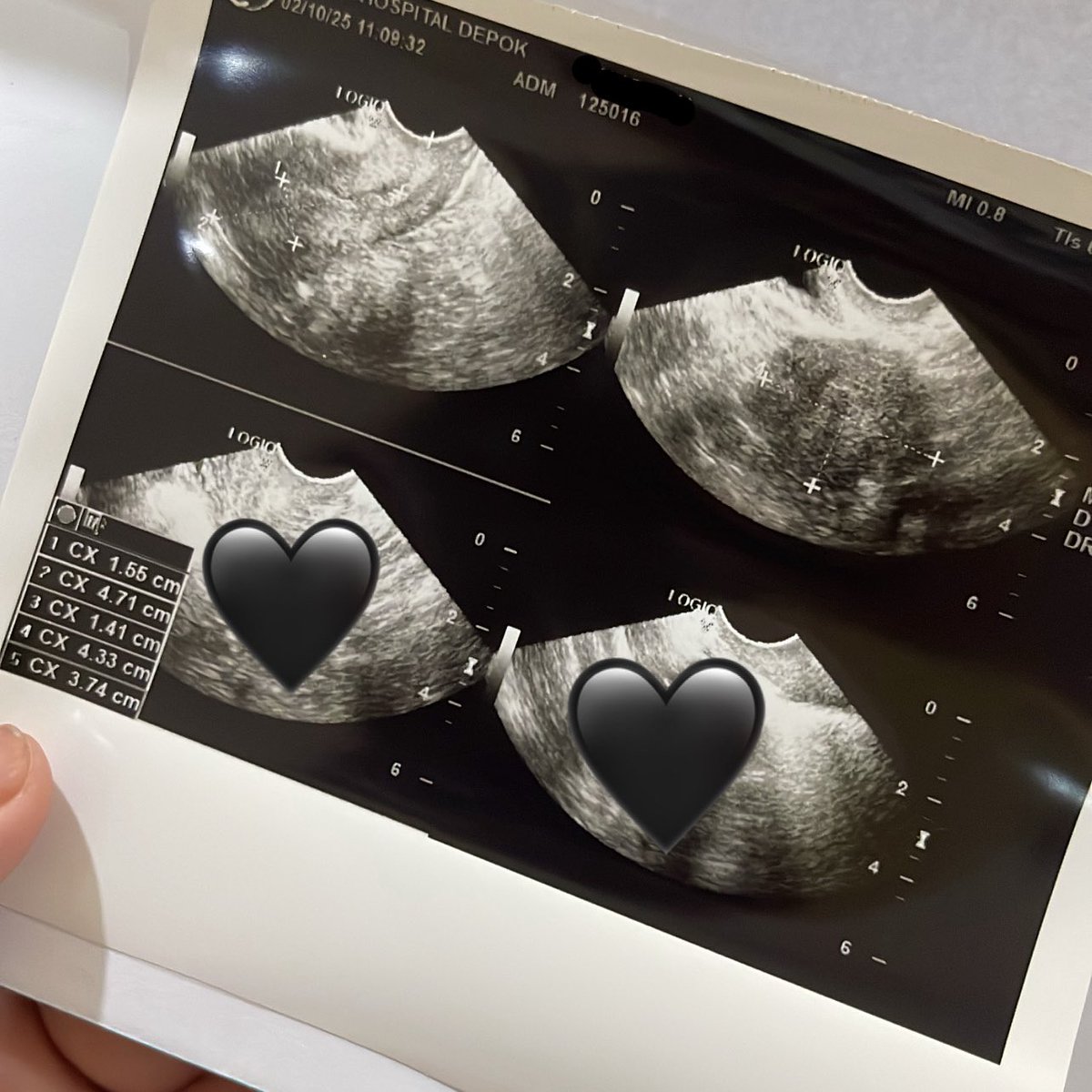 noelle heart-shaped box tweet media