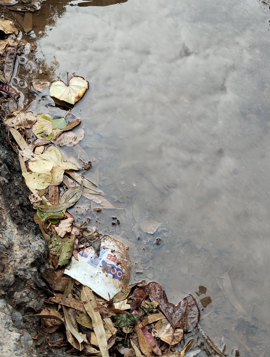 katerin87813001's tweet photo. @DailyPicTheme2 #CloudsReflections in a puddle #DailyPictureTheme https://t.co/S9CJ4WMRUQ