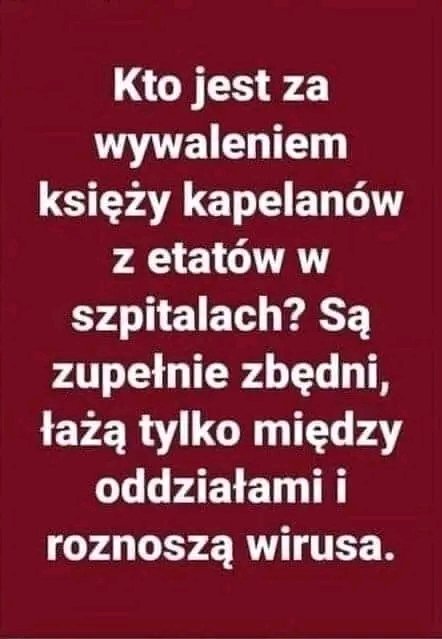 Grażyna Miziuła Gracja (@gmiziula) on Twitter photo 