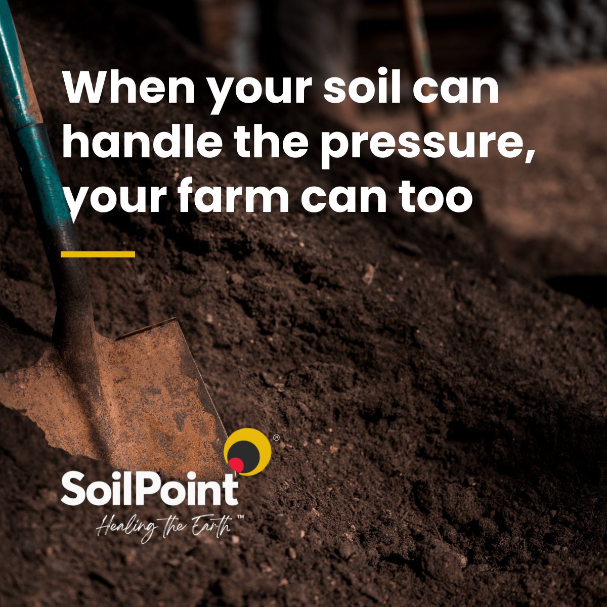 SoilPointEarth's tweet photo. Unpredictable weather can challenge even the best-managed fields.
SoilPoint Soil Booster helps your land stay resilient by:
🌱 Boosting microbial life
🌿 Building stronger root systems
💧 Keeping nutrients in the soil longer
 
When your soil can handle the pressure, your farm can too.
 
#sustainablefarming 
#agriculture 
#farming