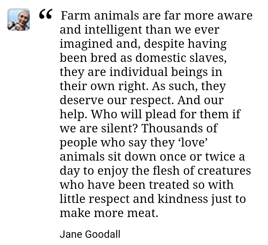 "You cannot get through a single day without having an impact on the world around you. What you do makes a difference, and you have to decide what kind of difference you want to make."
💕🙏✨ Jane Goodall