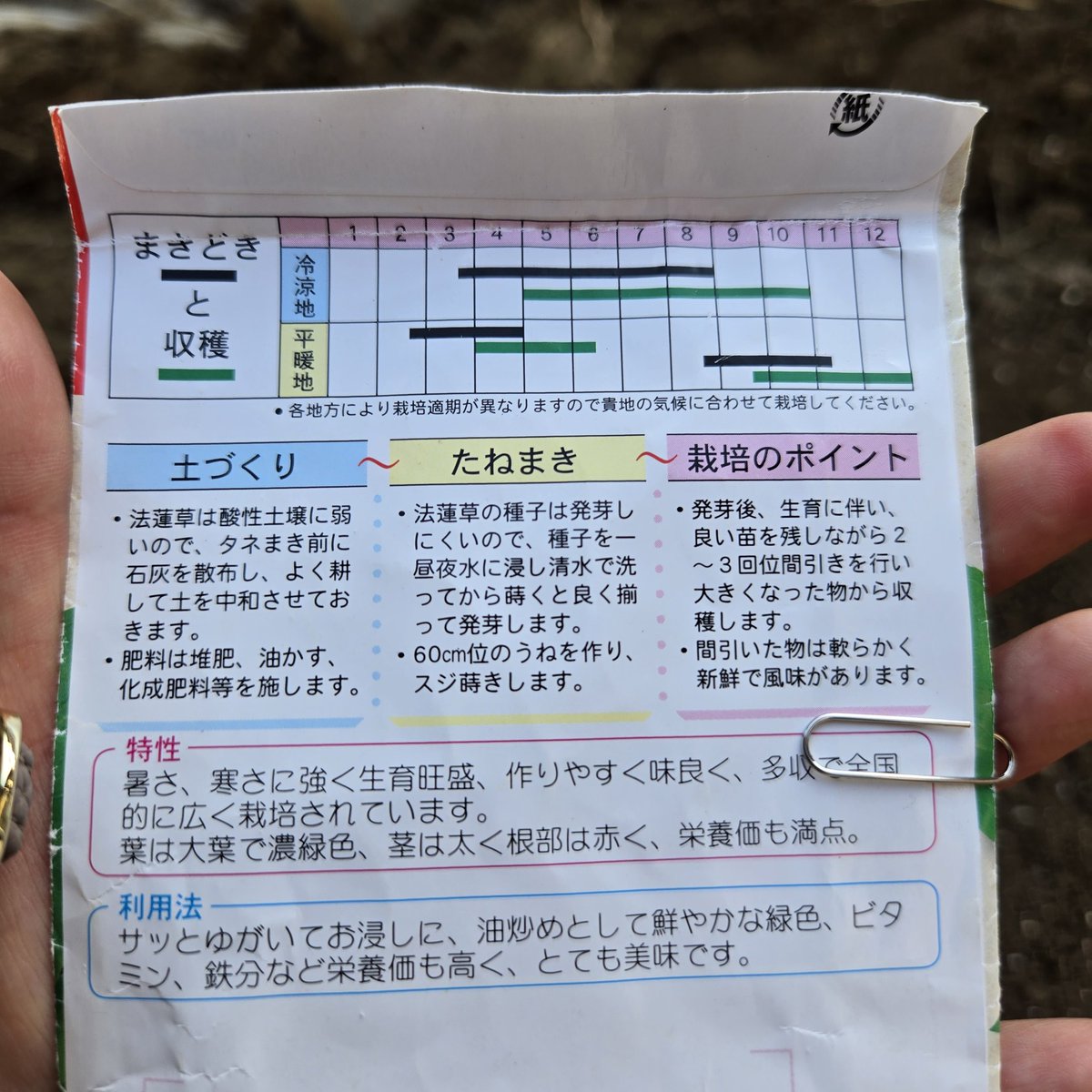 SaeCue's tweet image. #ほうれん草 種まきしたよ🌱
意外に難しいんだよね…
育てるの。
コツは石灰沢山混ぜることかな…
以前それで成功した🥬

#次郎丸 #spinach