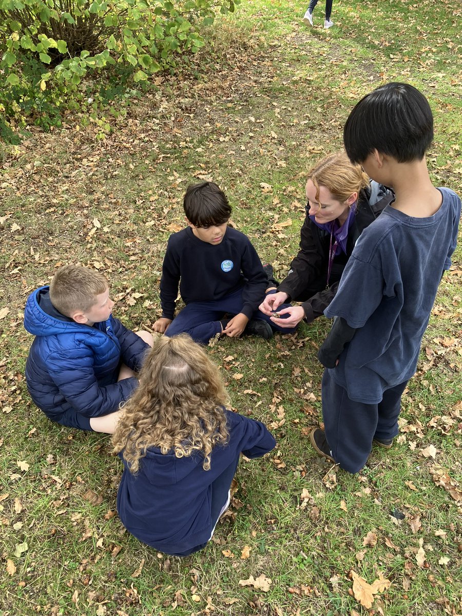 Long Meadow Lions tweet media