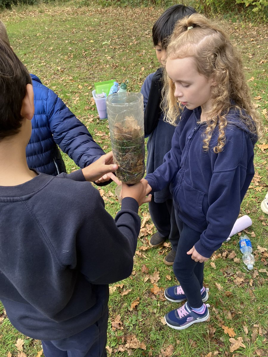 Long Meadow Lions tweet media