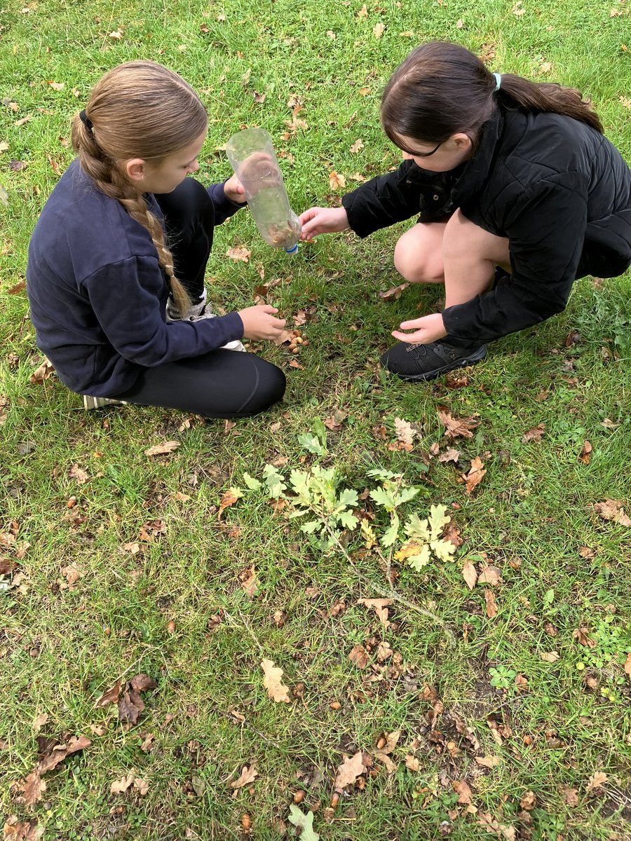 Long Meadow Lions tweet media