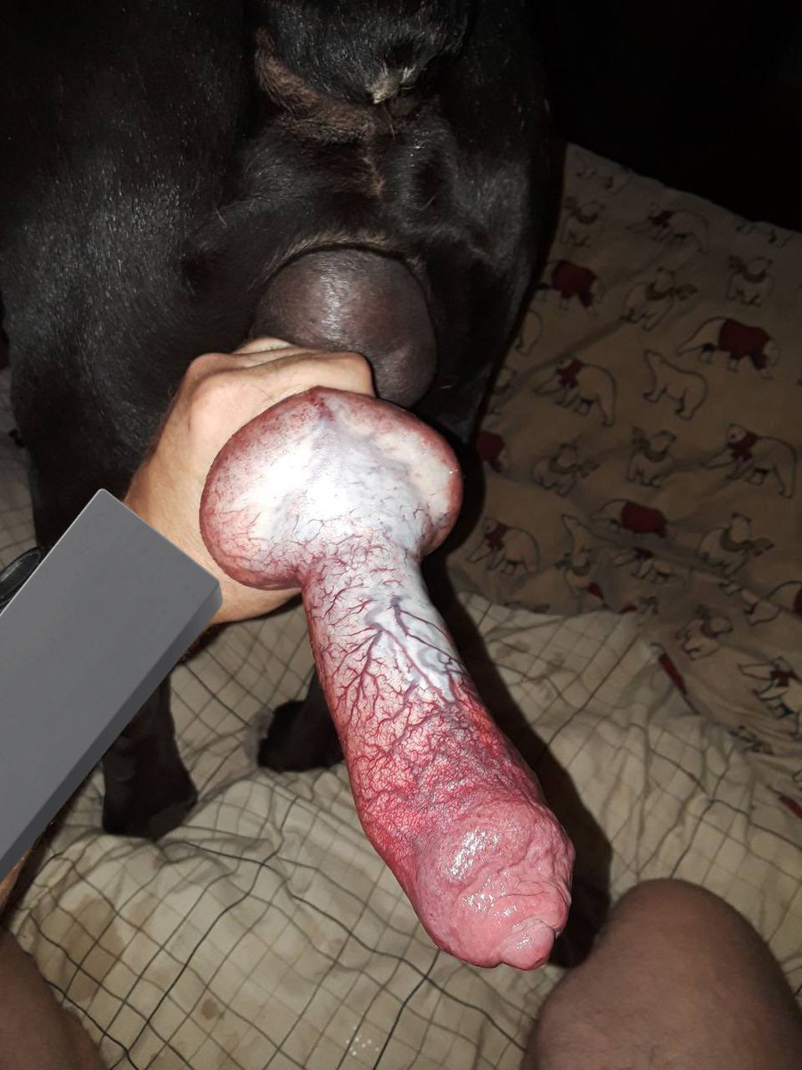 princessnatty70's tweet photo. Who's up I’m horny asf need a good boy 🐶🐾to milk rn 🍌👄 👙🌽for (FREE)💋🤍🤍🤍🖤🖤🤍🤍 🔥🥵 https://t.co/zY3ilB6crw