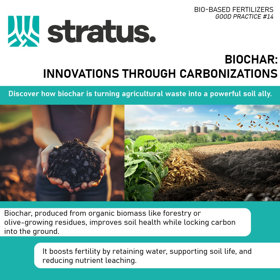 STRATUS is sharing the knowledge collected accross Eurpe to promote a more sustainable way to use fertilizers building a better future for agriculture.

👇Learn more here 👇
stratusproject.eu/wp-content/upl…