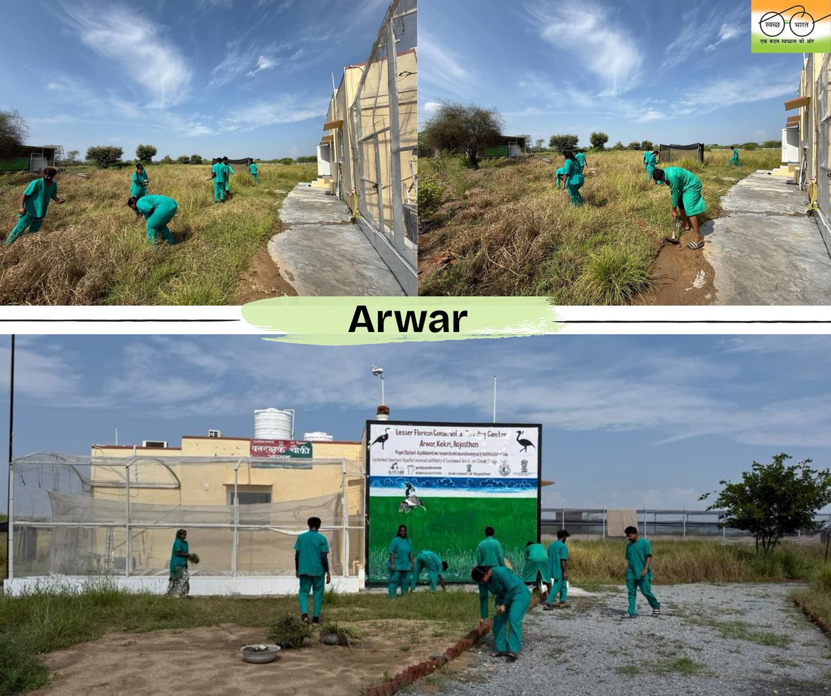 wii_india's tweet photo. Cleanliness drive across Conservation Breeding Centres of @bustardprogram in #Rajasthan to mark #Swachhatahiseva2025. These Centers maintain a clean, safe and healthy environment for the Critically Endangered #GIB and #Lesserflorican
@moefcc @ForestRajasthan @wii_india
#Swachhbharatabhiyan #ConservationInAction #SaveTheGIB #Wildlifeweek2025