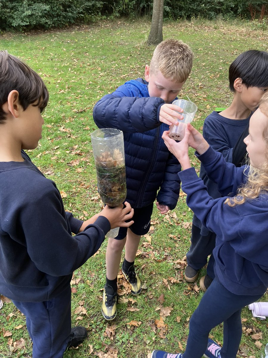 Long Meadow Lions tweet media