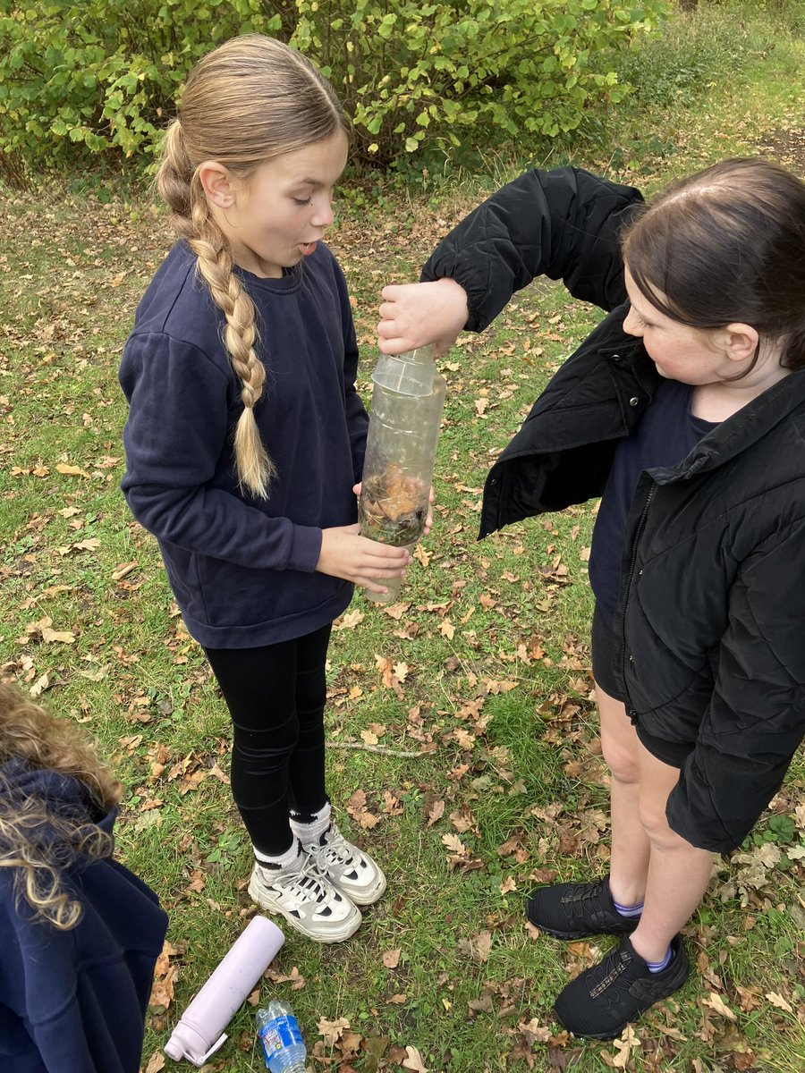 Long Meadow Lions tweet media