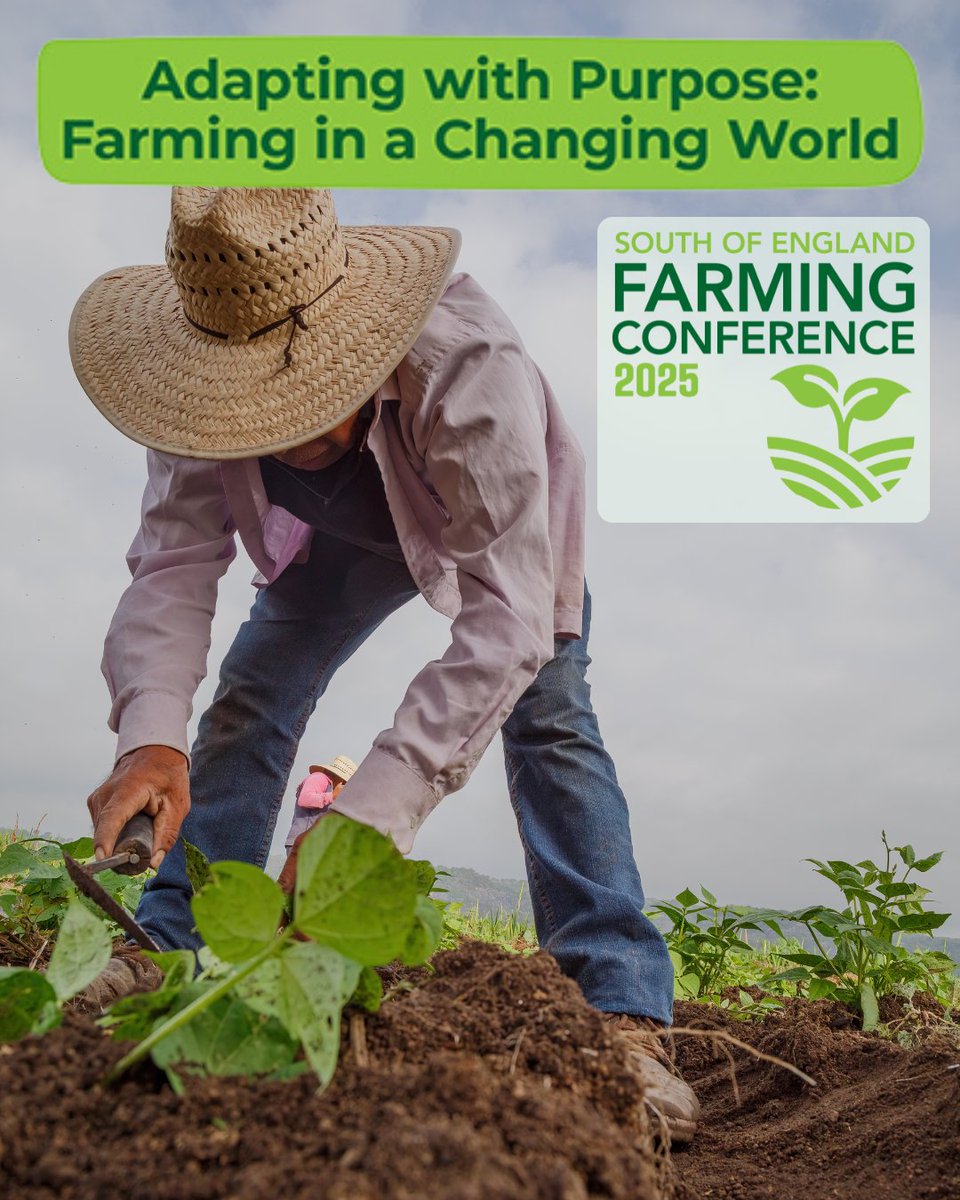 South of England Shows tweet media