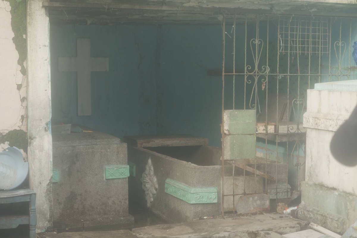 Mayday Multimedia tweet media