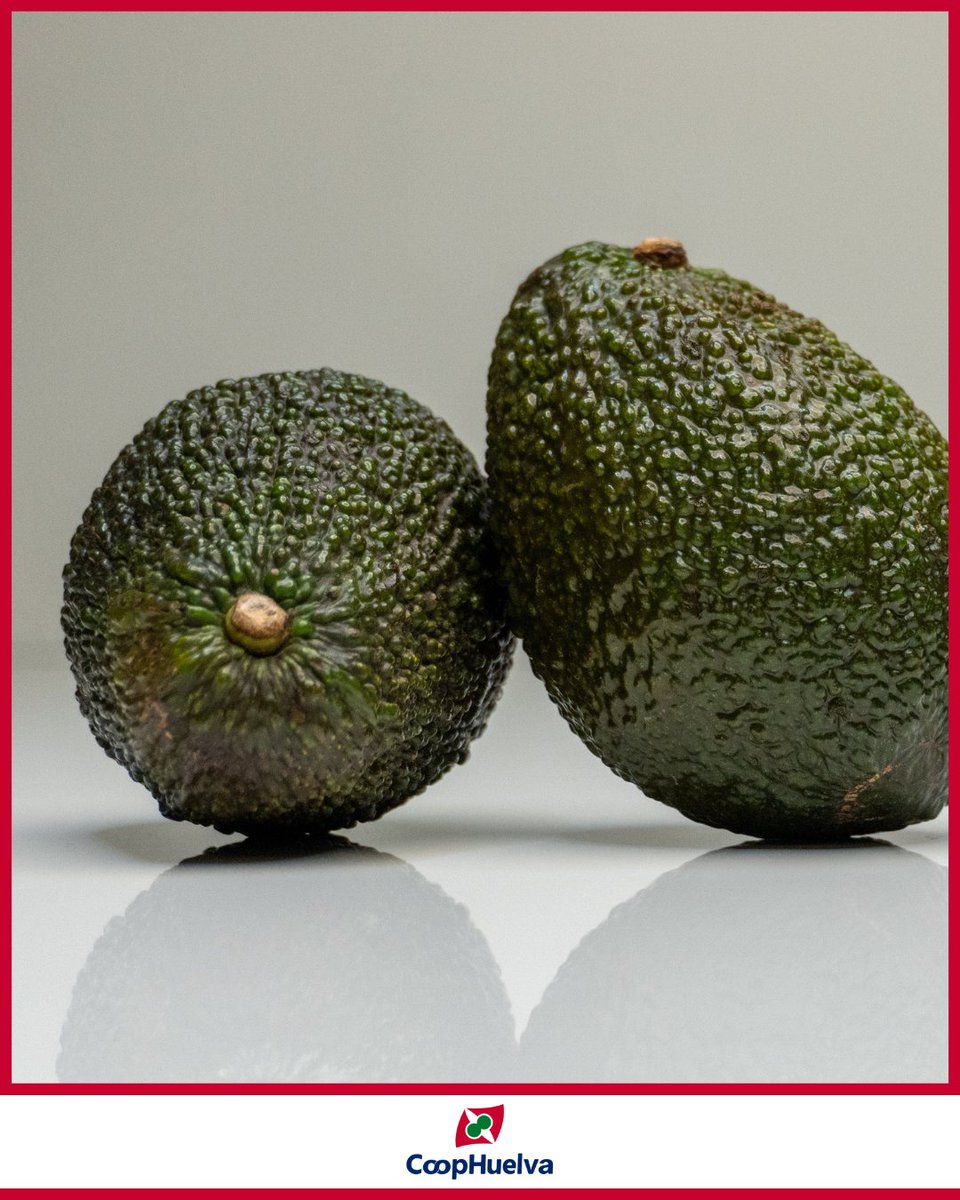 Apostamos por el aguacate como cultivo complementario.

Producido con visión de futuro y respeto por el entorno.

👉 coophuelva.es

Más sobre nosotros:
nuestrocatalogo.es/CoopHuelva/Mai…

#aguacate #cultivolocal #coophuelva #frutassostenibles #cooperativahuelva  #produccionnatural