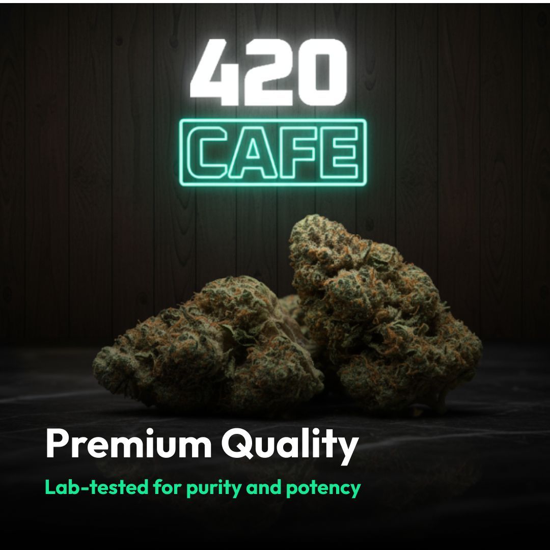 420cafe_club's tweet image. Premium quality, lab-tested for purity and potency - because you deserve the best. Shop now: 420cafe.shop
 #UKWeed #420UK #LabTested #CannabisQuality #THCCommunity #CannabisUK