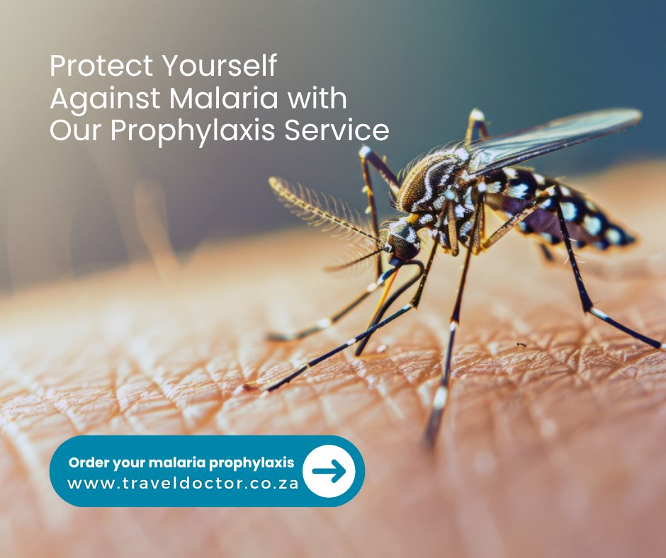 TrvlDoc's tweet photo. Travelling to a malaria area? Our online service makes it easy:
1️⃣ Complete a short consultation
2️⃣ Get a personalized recommendation
3️⃣ Receive your medication at home

Order your malaria prophylaxis online today! https://t.co/iZPwTXY8JB

#TravelSafe https://t.co/6P2B150zj3