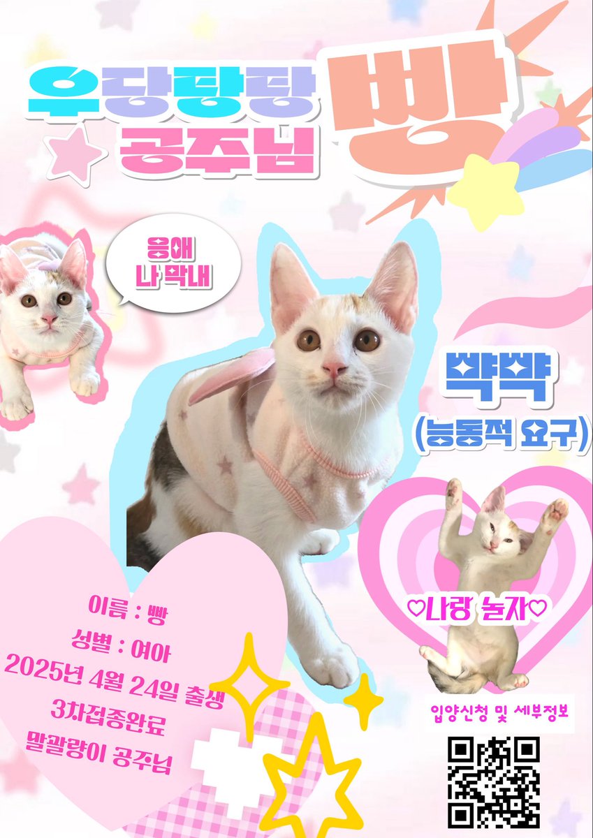 빵!