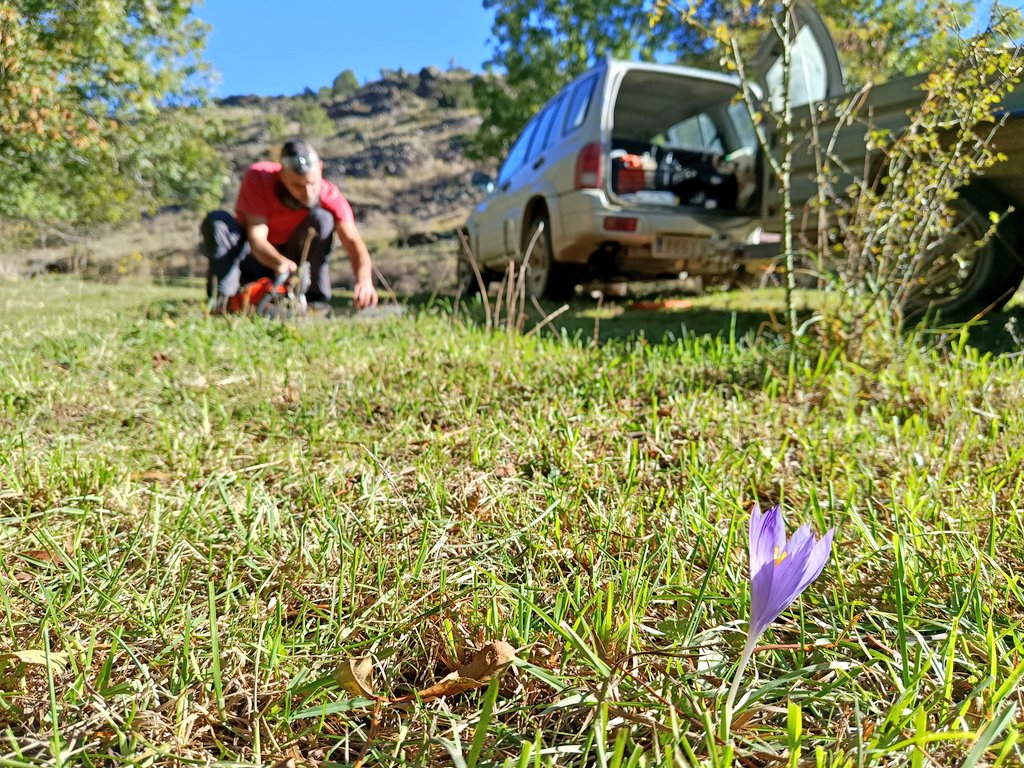 Montmelús 🇵🇸 tweet media
