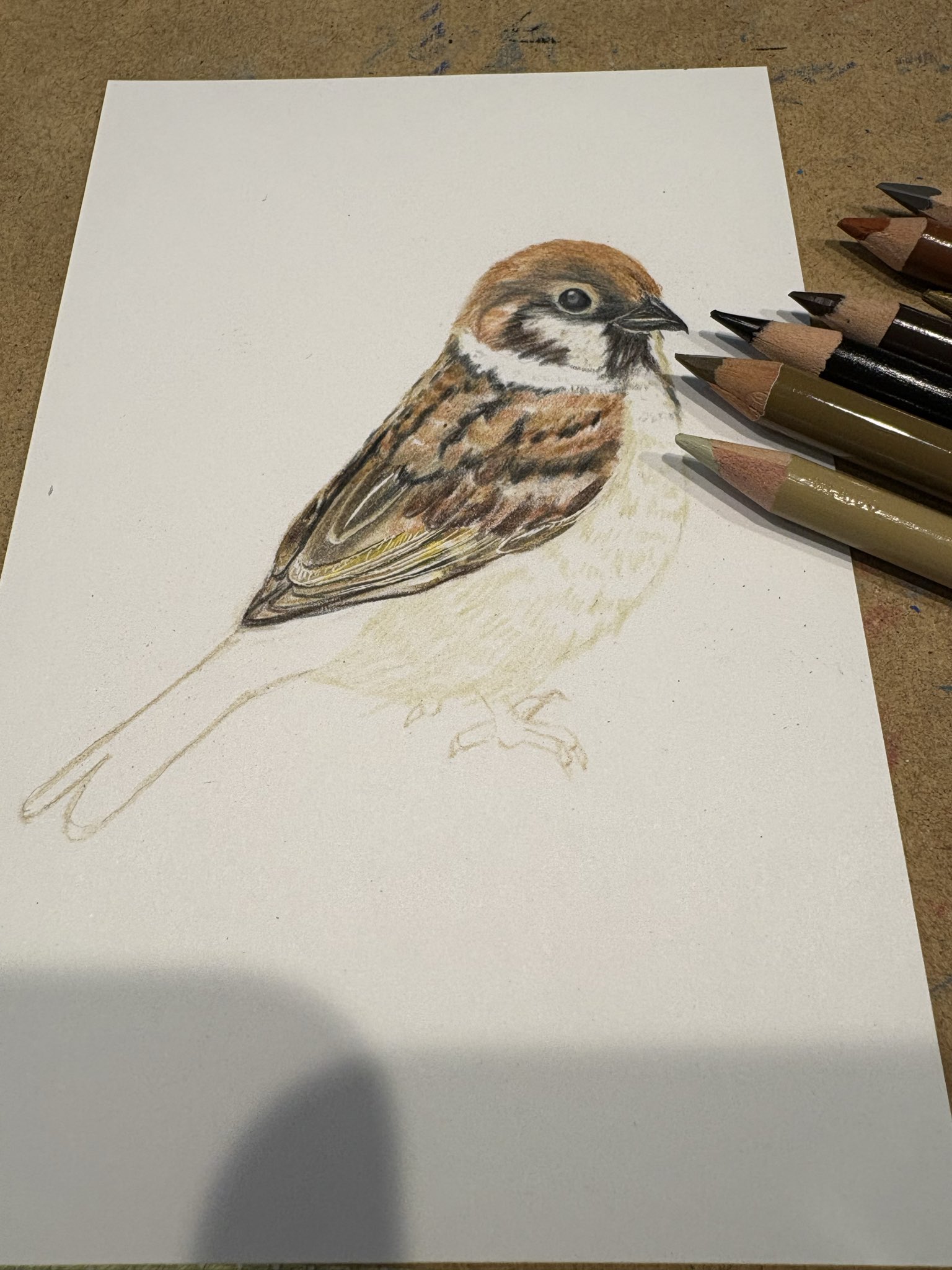 桃色兎🍩🍨🍎🍙 (@chi_chimney) / X