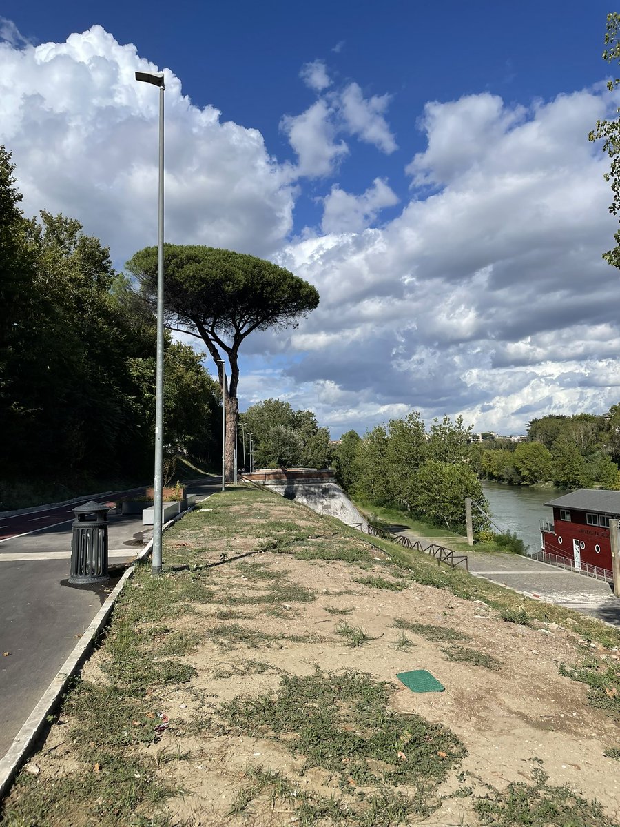 Ulderico Sconci tweet media