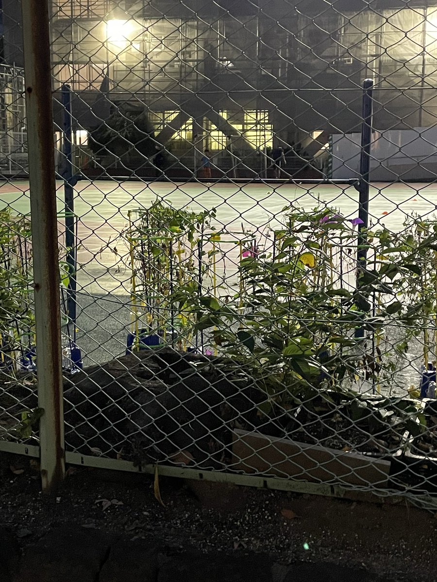 クラブのためにやれることをやる。