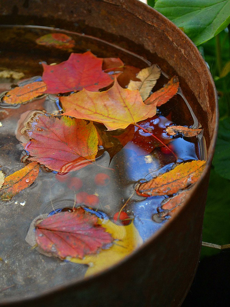 eljmoretti's tweet image. My life looks like this last couple of days 🙃 🍂🪾 #outoftown