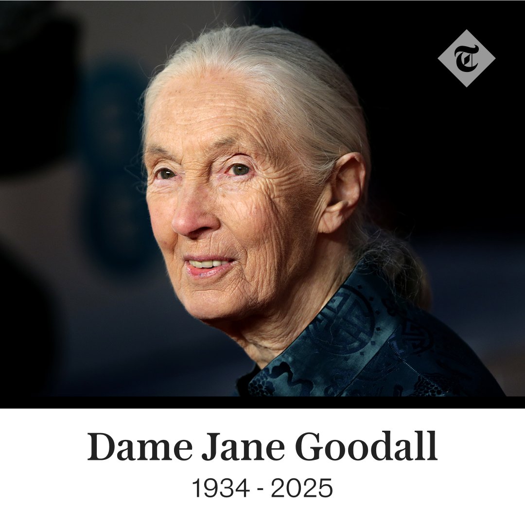 Dame Jane Goodall, who has died aged 91, spent a lifetime in close study of the chimpanzee and in the process completely transformed man’s understanding of his nearest relation 

Read more on her life here ⤵️
telegraph.co.uk/obituaries/202…