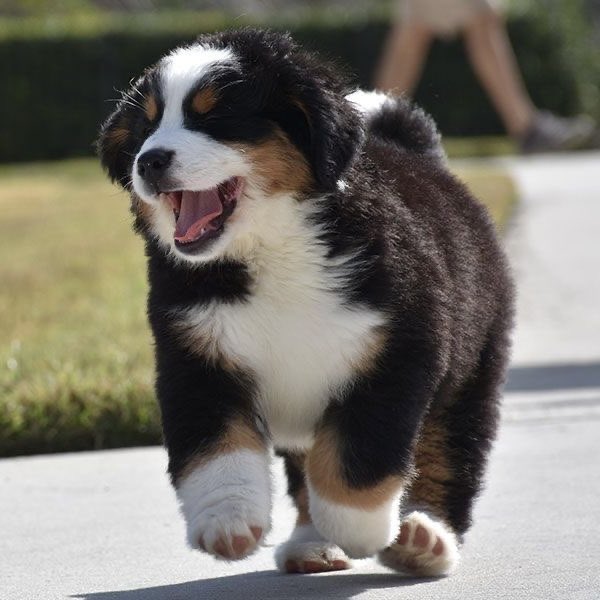 ari 🦄✨ tweet media