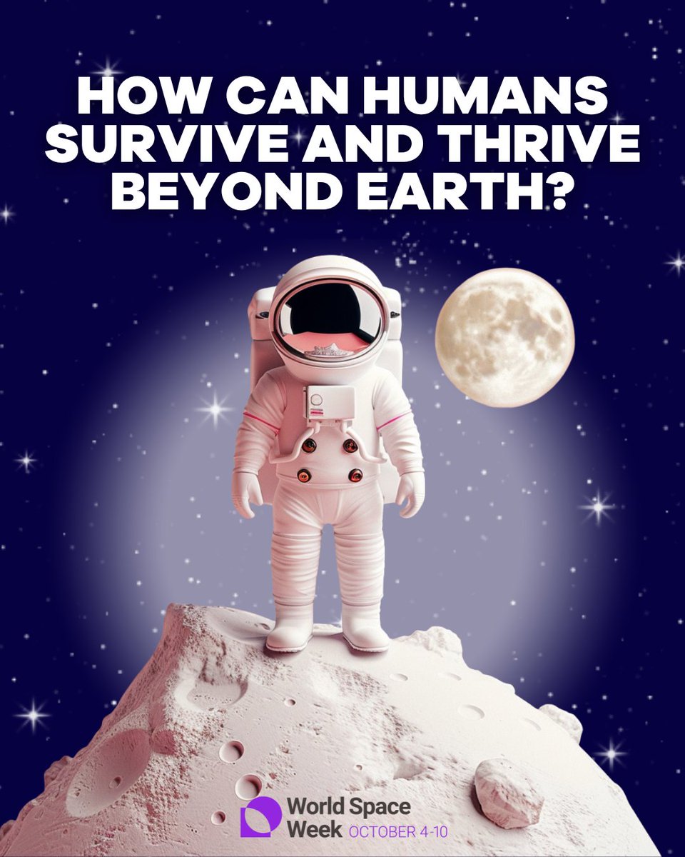 Fundació KIMbcn tweet media