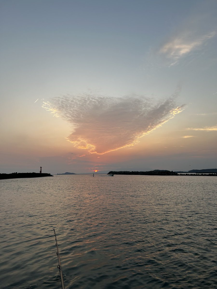 夕方がキレイ😍