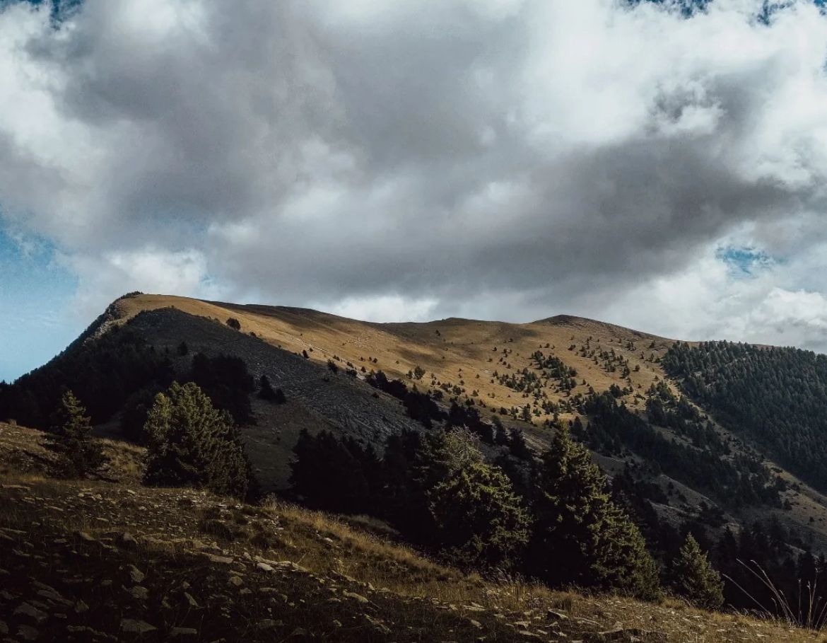 Partagez vos plus beaux clichés du Département avec #AlpesMaritimes

L’équipe du Département vous souhaite une belle journée ☀️

📷 @eyliades_photographie / Valdeblore

<a href="/VisitCotedazur/">Côte d'Azur France</a>