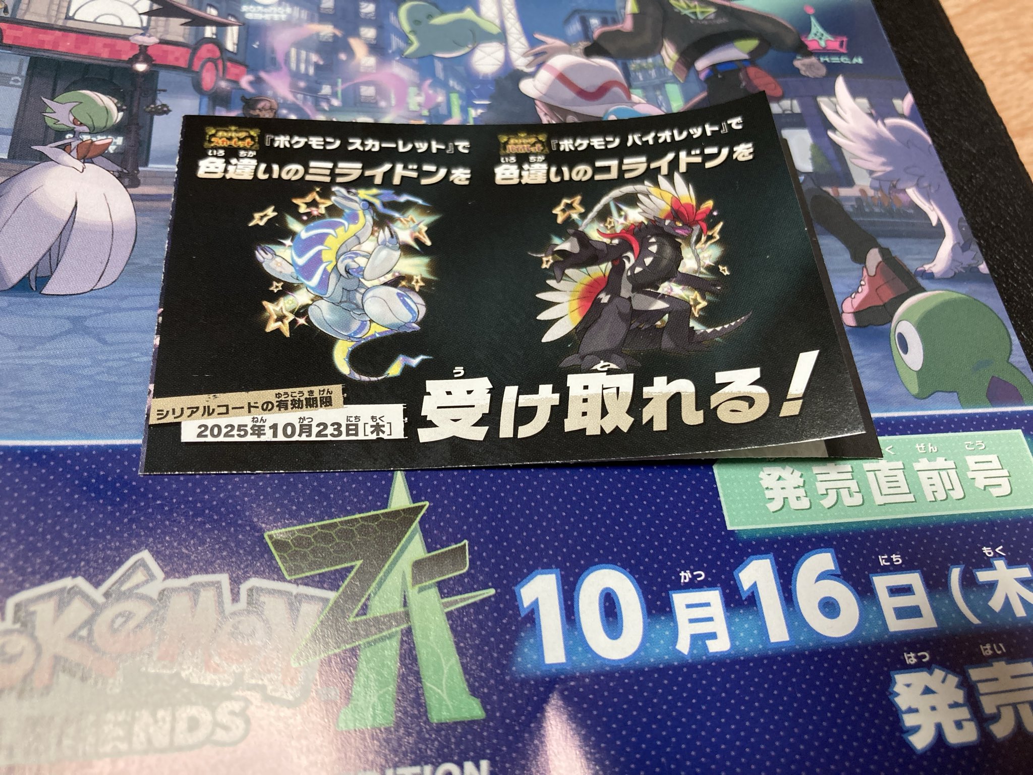 星屑　CHOCOCHIP COOKIE ⑩色違い 星屑 CHOCOCHIP COOKIE ⑩色違い 星屑様専用 CHOCOCHIP COOKIE