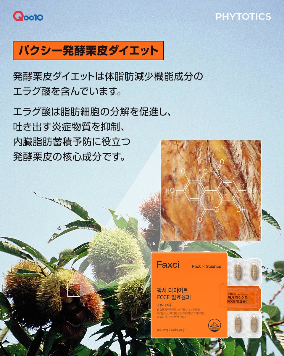 phytotics_jp's tweet photo. 🍂秋は美味しい誘惑がいっぱい…
でも実は、脂肪がつきやすい季節でもあるんです😳

🌰 パクシー発酵栗皮ダイエット 🌰
✔ 栗の渋皮由来エラグ酸で脂肪分解をサポー���
✔ 我慢せずに、軽やかな習慣へ

＼Qoo10メガポ割引イベント開催中／  
「食欲の秋」を楽しみながら、スリムに過ごしましょう🍁 https://t.co/wsxzxEEsxG