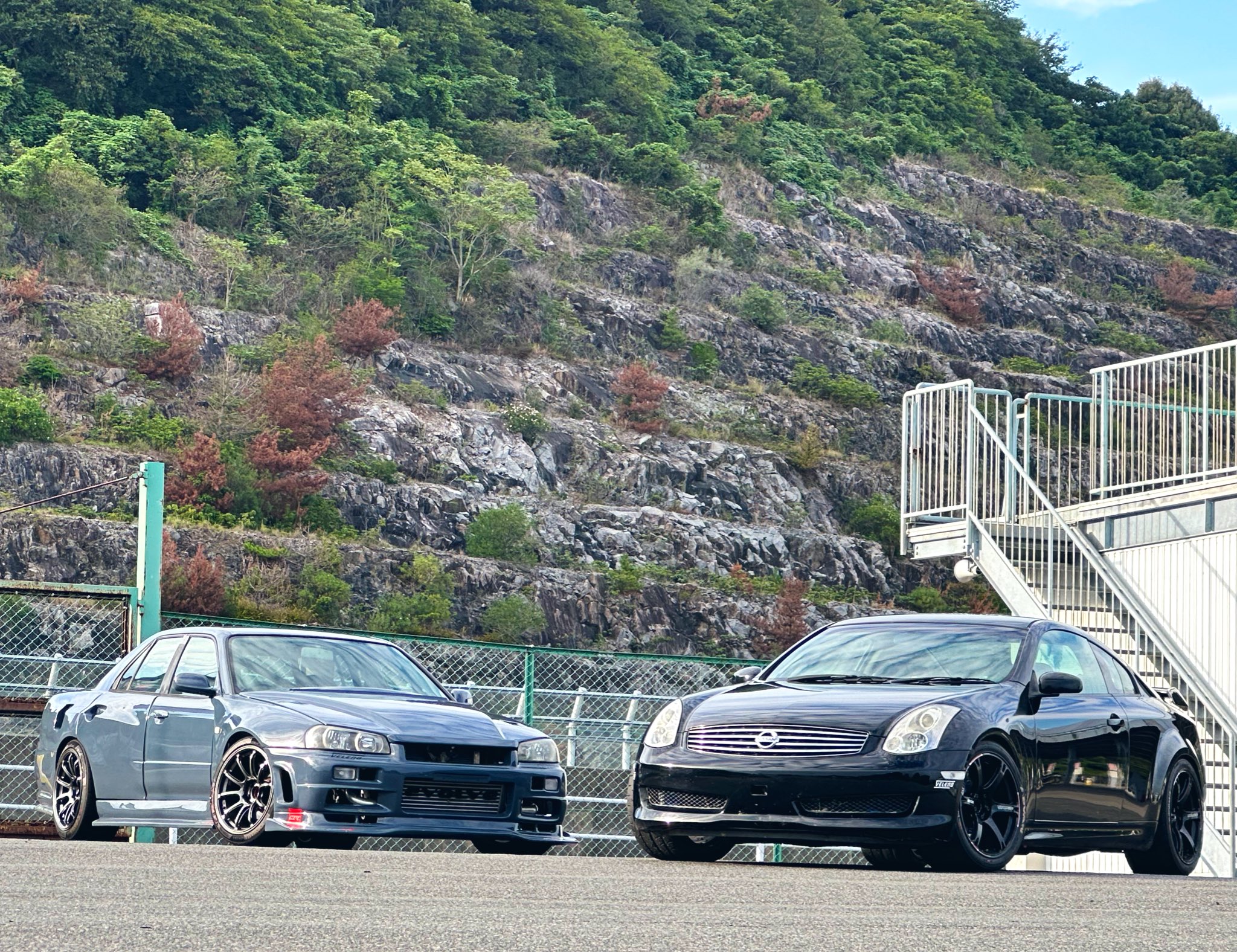 キャッツテイラ Amazon.co.jp: きゃっつていら ゆきお : おもちゃ