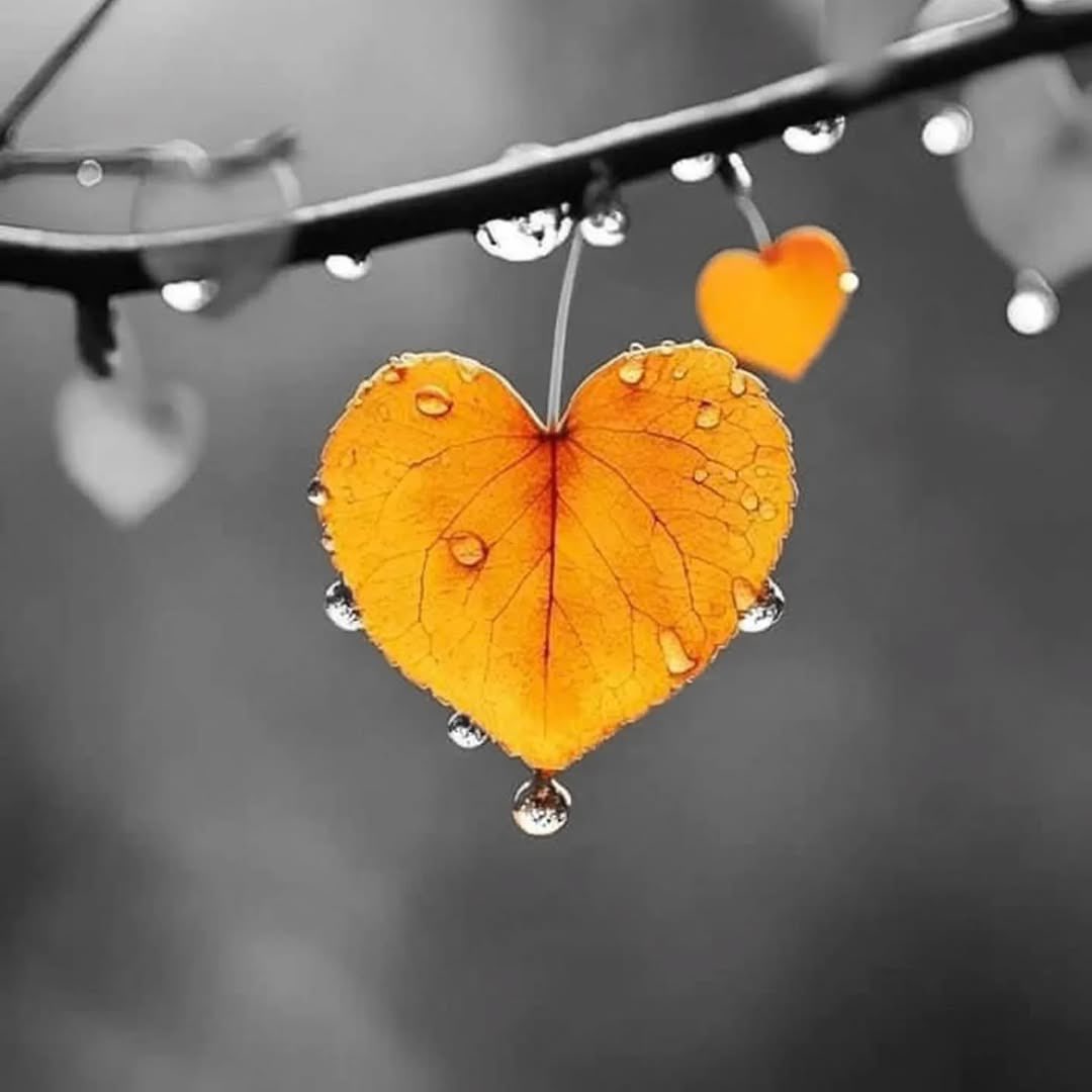 1stAJ's tweet image. Love🧡