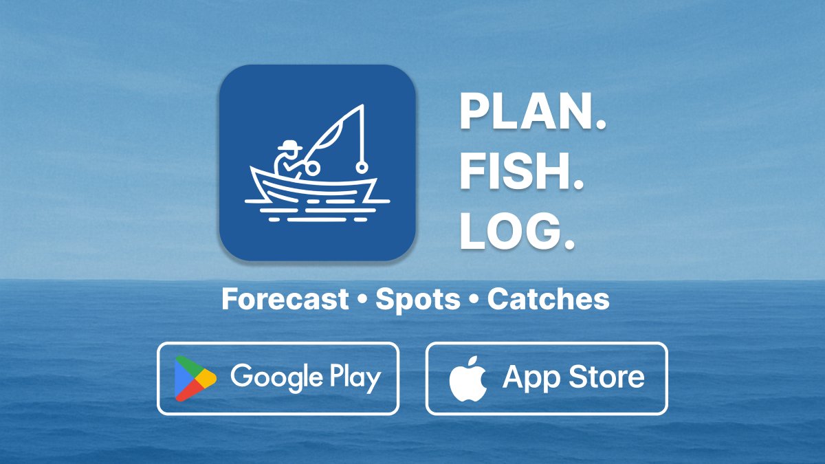 DMProjectsDev's tweet image. Comming soon...

#buildinginpublic #fishermen #fishingtrip