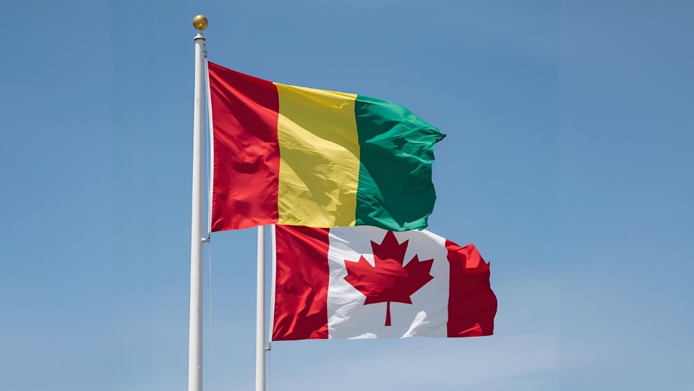 Canada in Senegal (@canembsenegal) on Twitter photo Happy 67th Independance Day to the people of #Guinea🇬🇳! #Guinée67 #CanadainGuinea Happy 67th Independance Day to the people of #Guinea🇬🇳! #Guinée67 #CanadainGuinea