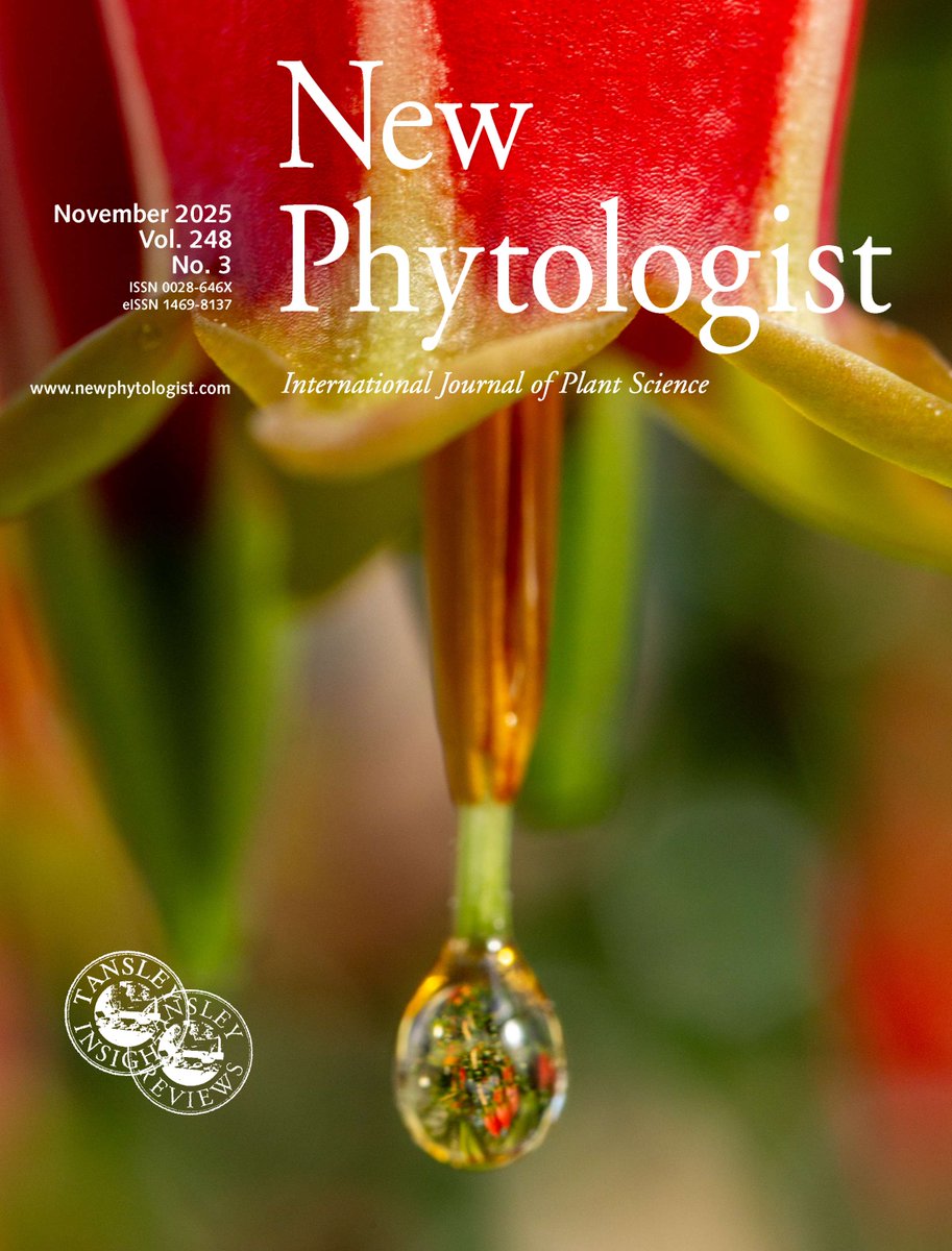 NewPhyt's tweet image. 🆕 Our #Latestissue is online now!

📚 nph.onlinelibrary.wiley.com/toc/14698137/2…

Highlights include:
🌱 #Nectar, the original cocktail
🌱 An updated history of TDIF-PXY signalling 
🌱 Autophagy in plant-virus-insect #interactions 

@WileyPlantSci