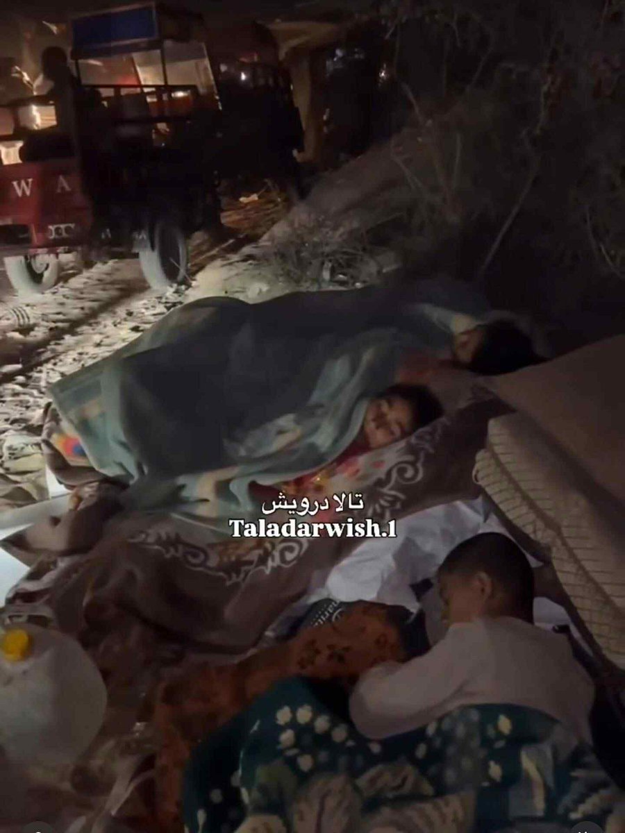 pftward's tweet photo. Help Zainab and her family get transport out of Gaza City, they also need a tent, food and water. Donate here to make a big difference: https://t.co/XkQdgamU4S https://t.co/VdmPpFCUDR