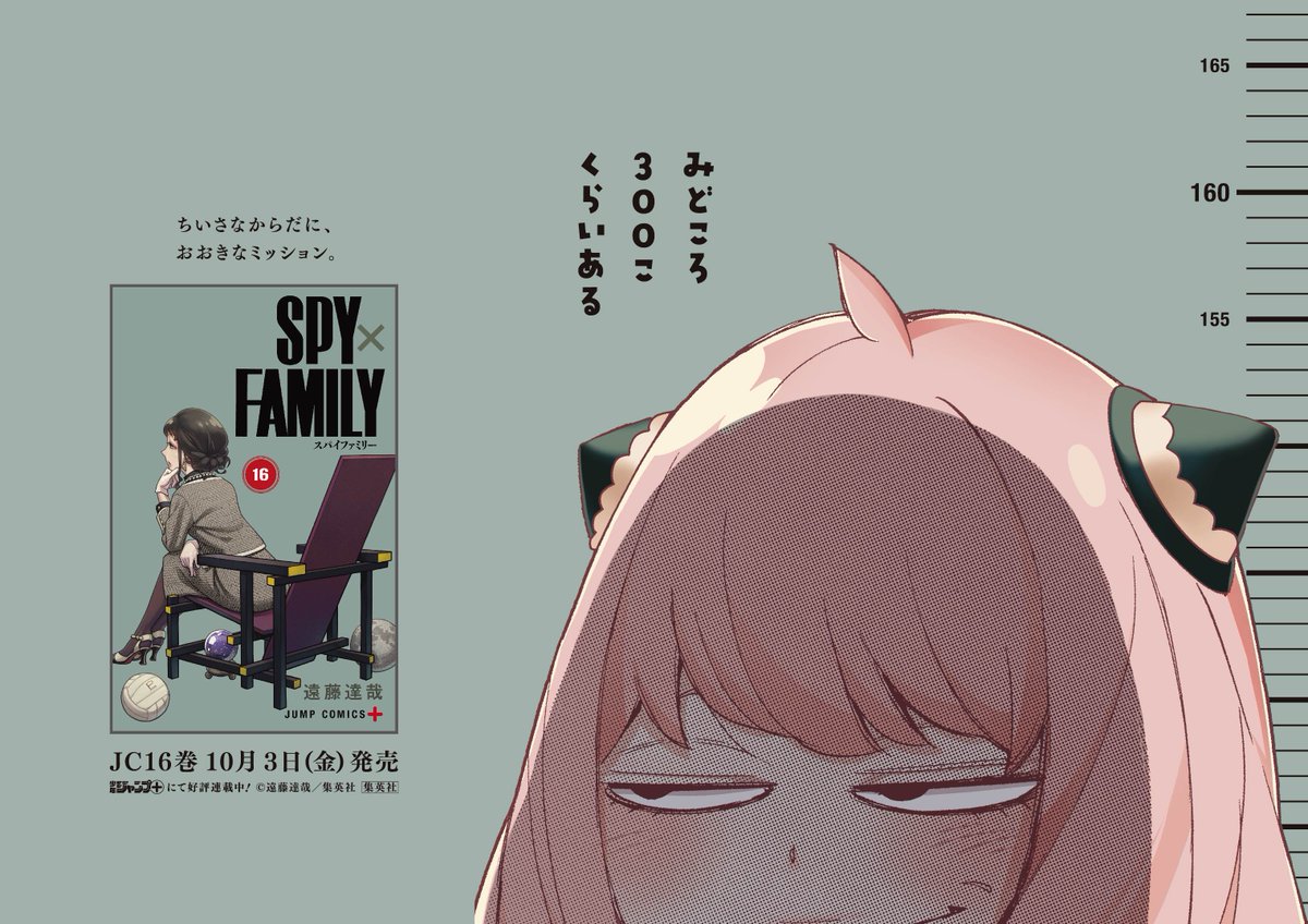 SPY×FAMILY最新16巻、本日入荷しています！購入者特典のイラストカード