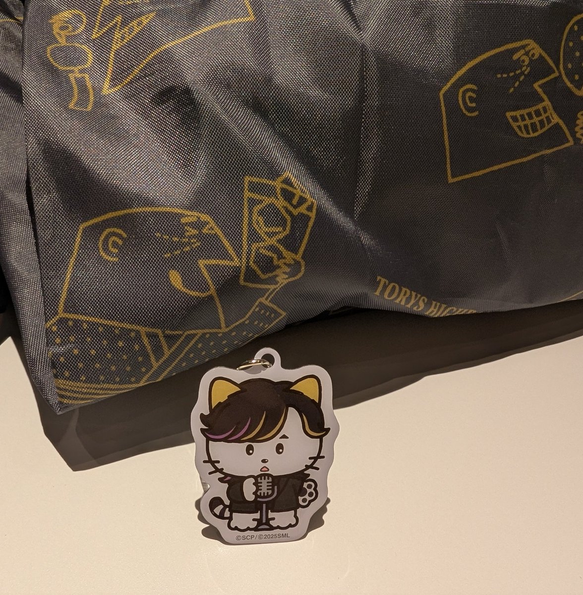 towa_axs's tweet image. カプセルトイが出来なかった私は、チャームに脚付けて遊んでます
（Xで見掛けたので、昨日会議前にセリアに買いに行きました✌）
#TM2025IP
#TMNETWORK