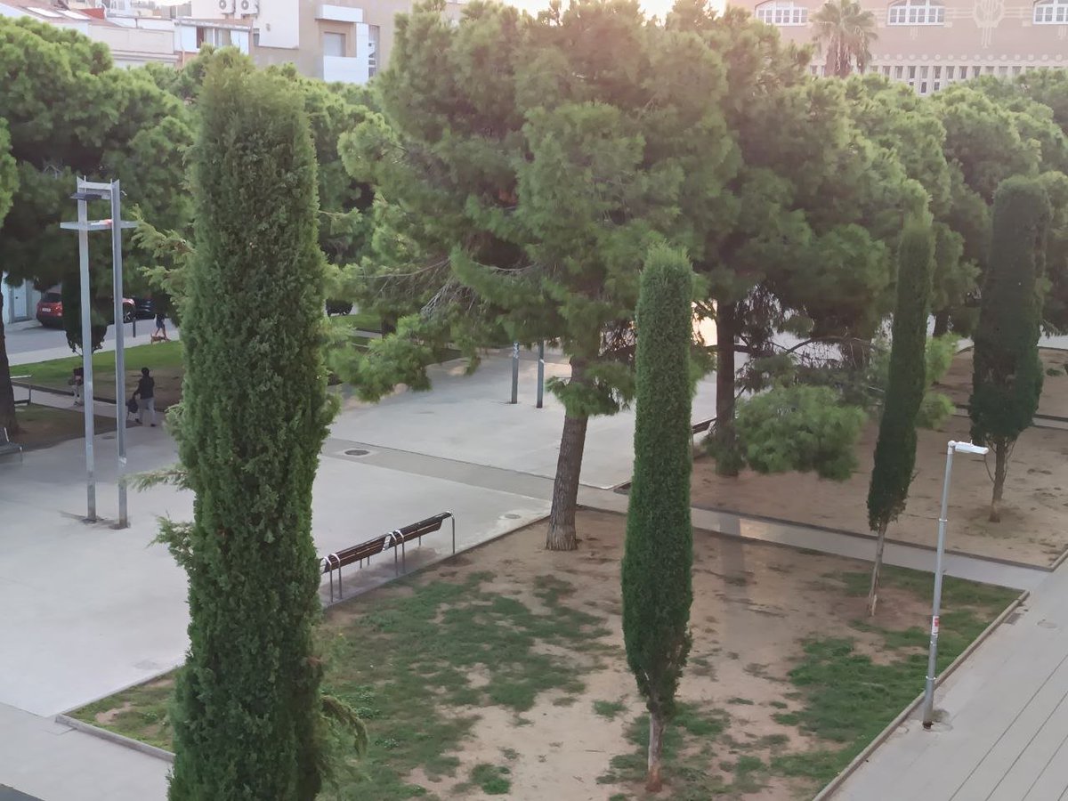 Deixadesa o prioritats? La vergonya de la Plaça del Gas, opinió de Tomeu Ferrer t.ly/wMKaw