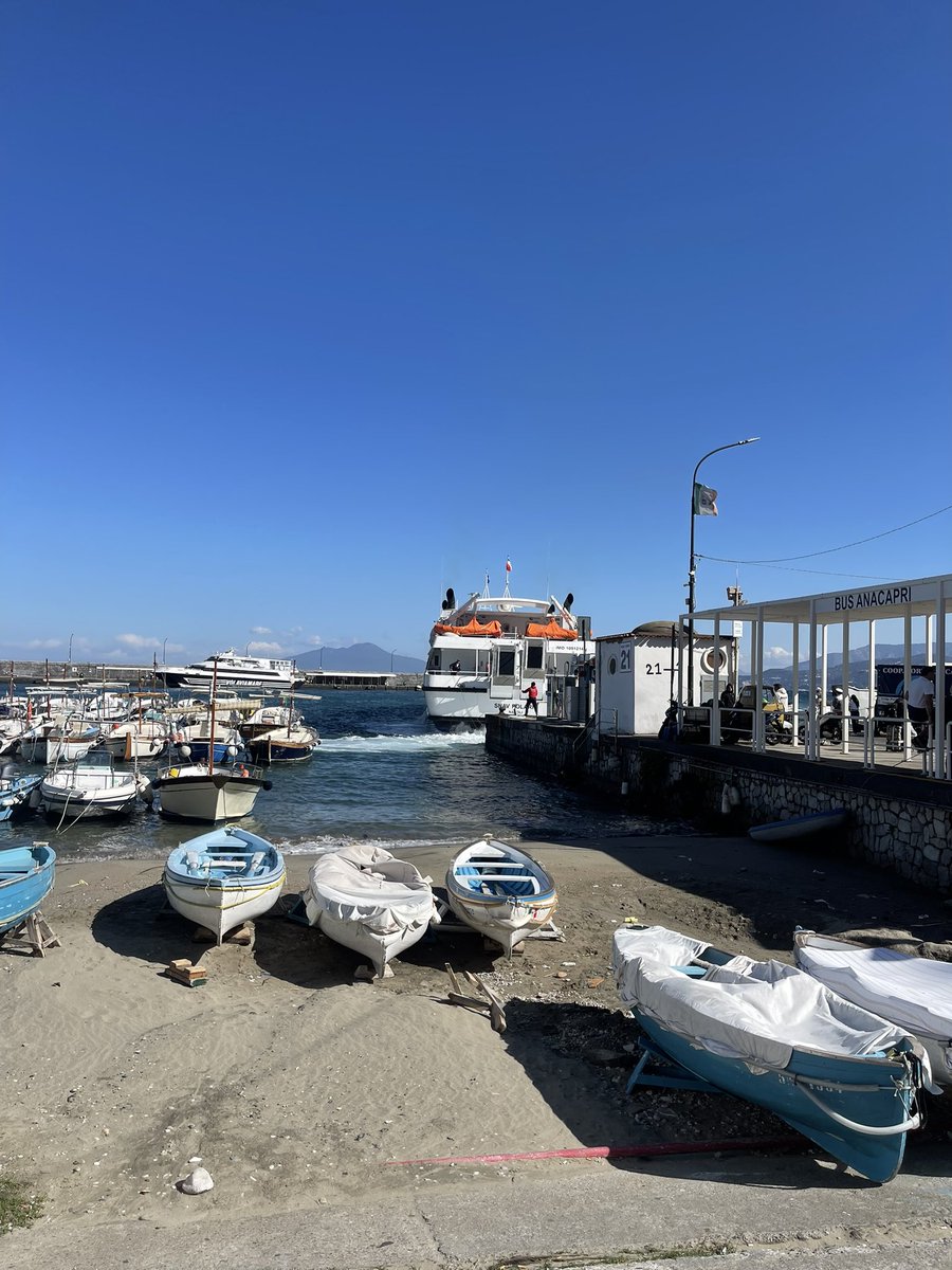 今日は天気は良いけれど、昨夜からの強風で寒い🥶
長袖のブラウスにカーディガン着てる。数ヶ月ぶりにスニーカーも履いてます。