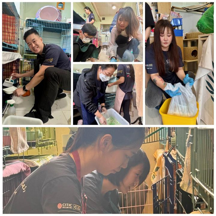 🐈A team of #CSI volunteers recently visited the Hong Kong Saving Cat and Dog Association (HKSCDA), to help care for and interact with abandoned and mistreated cats and dogs #CSIImpact #CSILife
