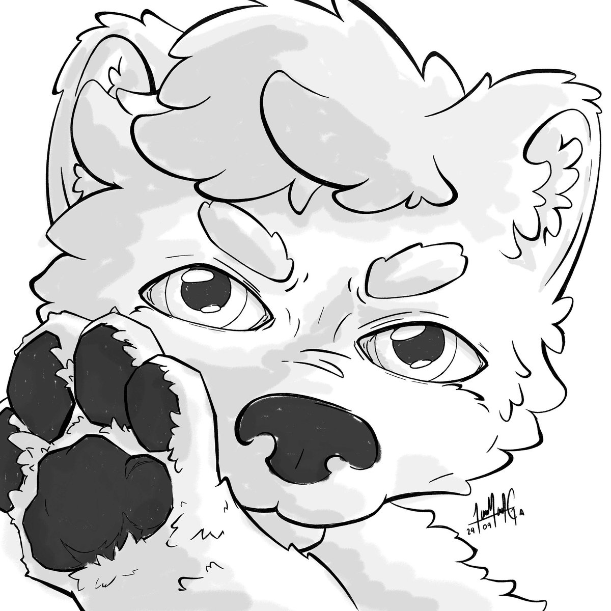 Wip! 
Working on a little commission for Peanut! 
- - - 
#ferret #furry #furryart #furryartwork #furrydraw