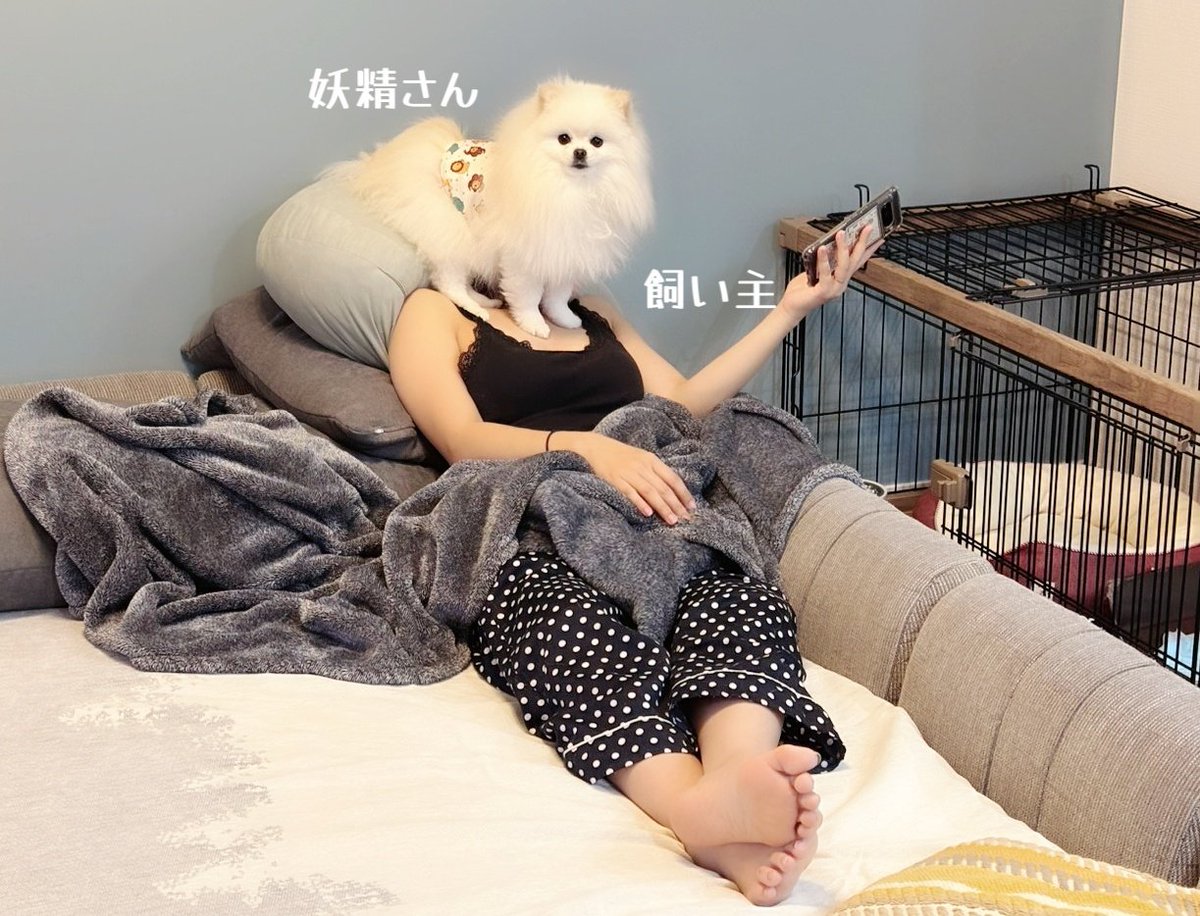 おこめ屋 tweet media