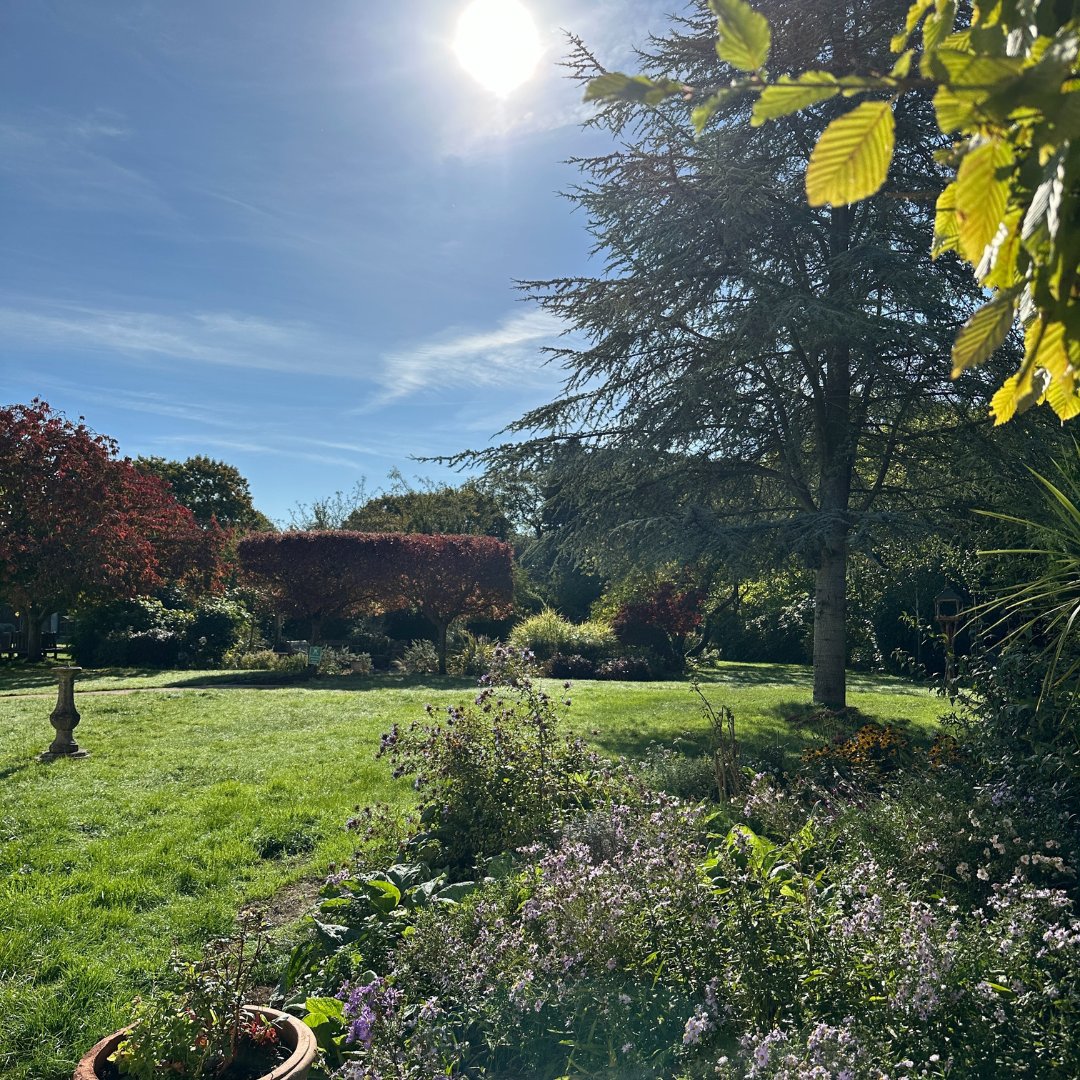 OakhavenHospice's tweet photo. This week has been wonderfully sunny in the Oakhaven gardens, with autumnal colour starting to mix with late summer flowers. It's a beautiful, peaceful haven for our patients and their loved ones.

#makingeverymomentmatter https://t.co/hdJFCocJR4