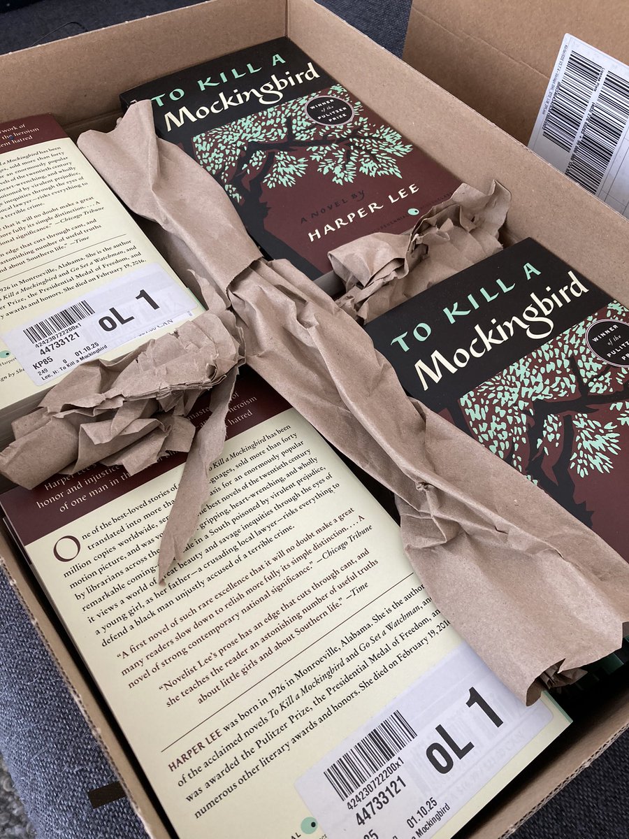 LehrerCymo's tweet image. Novels have just arrived.
Happy to have my first go of the @TeachLikeAChamp reading reconsidered curriculum somewhere in December!
#ScienceOfReading
#ScienceOfLearning
#KnowledgeMatters