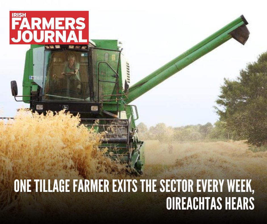 FJ Tillage tweet media