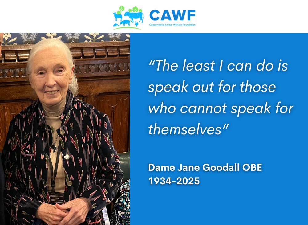 We are saddened to hear of the passing of Dame Jane Goodall OBE. A lifelong champion for animals, her dedication to the welfare of wildlife and farmed animals alike has left an extraordinary legacy of compassion and change. Our thoughts are with her family at this difficult time